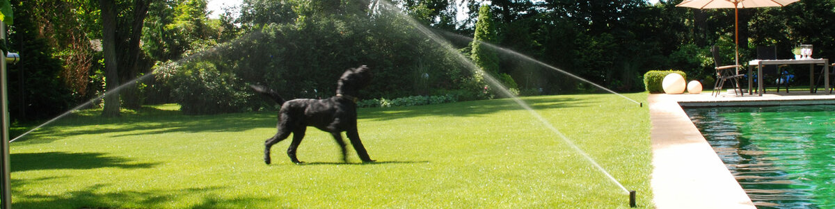 Was kostet eine Beregnungsanlage