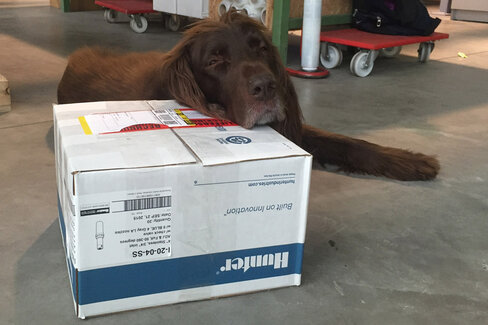 Aqua-Betriebsferien-Dito