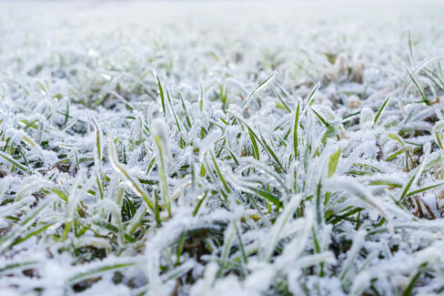 Magazin_Einwinterung