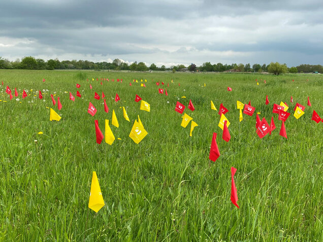 Foto: Katerina Jarolim-Vormeier AT-Faehnchen2-Katerina-Jarolim-Vormeier
