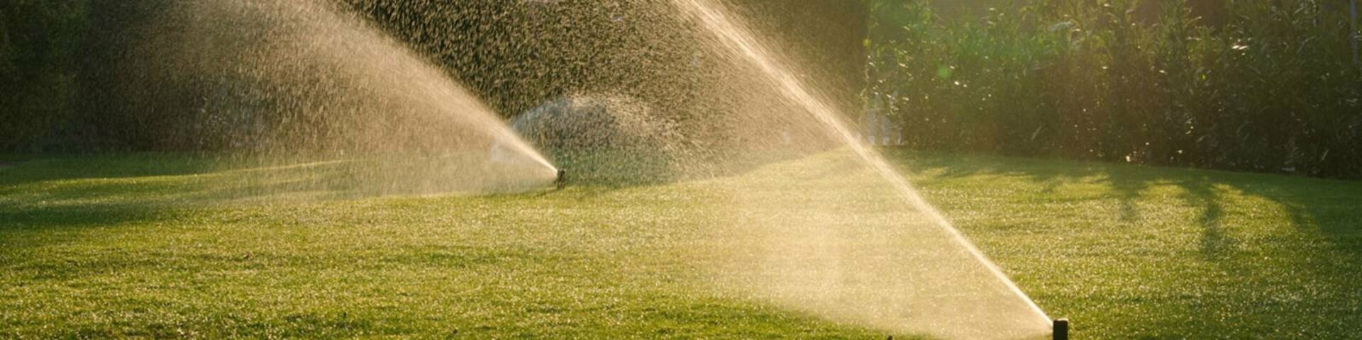 csm_Morgenregen_fdb718da64_88fb3f2f66