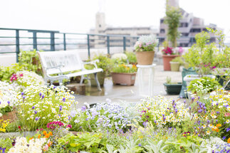 beregnungsanlagen_terrasse-balkon