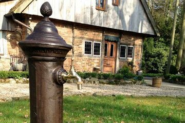 Bild für Produkte_Gartendekor