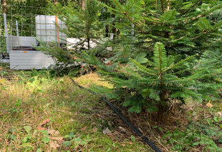 Produkte_Beregnungsanlagen_Forstkulturen