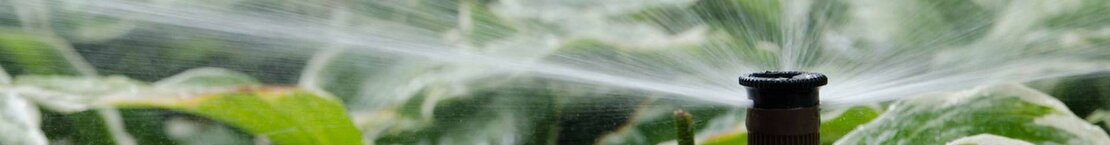 Spruehduese_Rainbird